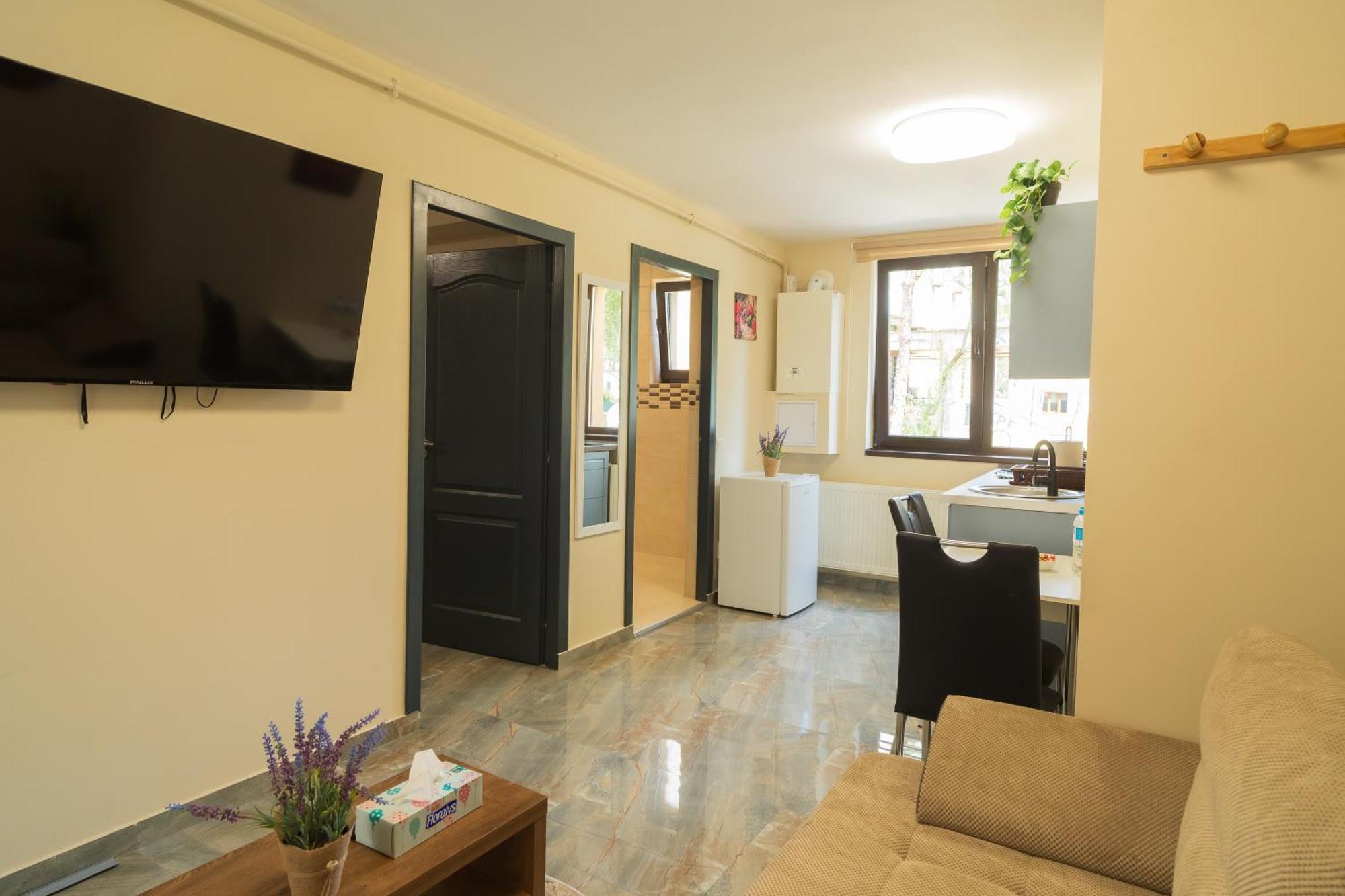 Ndl Apartaments Cluj-Napoca Buitenkant foto
